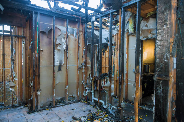 Professional Soot Removal technician working in Gibsonton, FL